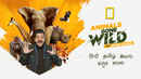 Animals Gone Wild Poster 7