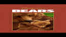 Bears Poster 1