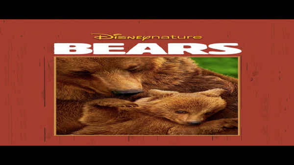 Bears Poster 1