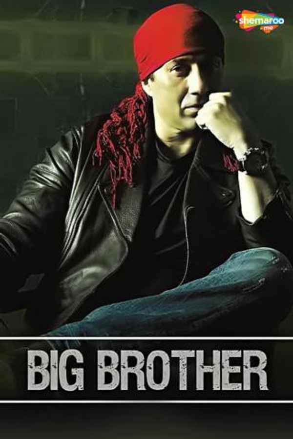 Big Brother Poster 3
