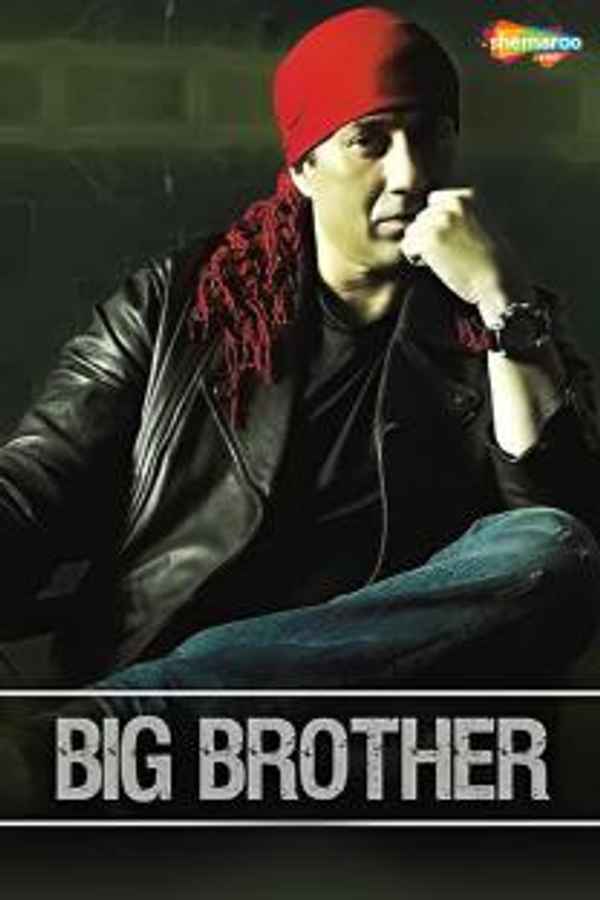 Big Brother Poster 1