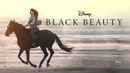 Black Beauty Poster 1