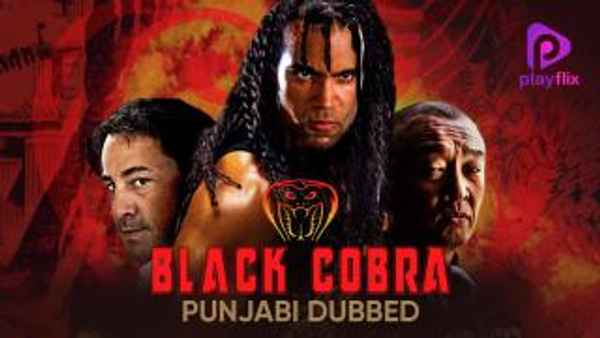 Black Cobra Poster 2