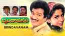 Brindavanam Poster 4