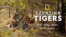 Counting Tigers Poster 5