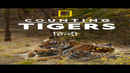 Counting Tigers Poster 6