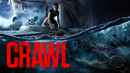 Crawl Poster 2