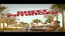 Dheet Patangey Poster 3