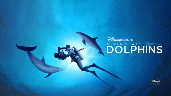 Diving with Dolphins Poster 6