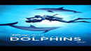 Diving with Dolphins Poster 7