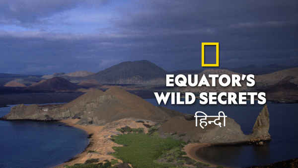 Equator's Wild Secrets Poster 1