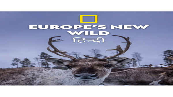 Europe's New Wild Poster 6