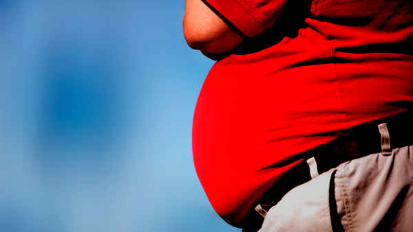 Facing the Fat Poster 4