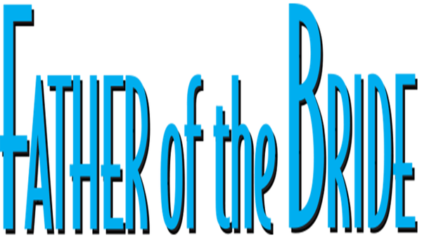 Father Of The Bride Poster 4