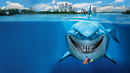 Finding Nemo Poster 6