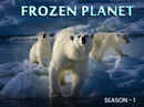 Frozen Planet Web Series Poster 1