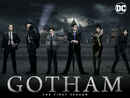 Gotham Poster 6