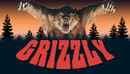 Grizzly Poster 2