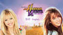 Hannah Montana The Movie Poster 2