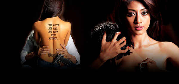 Hate Story Poster 2