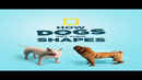 How Dogs Got Their Shapes Poster 4