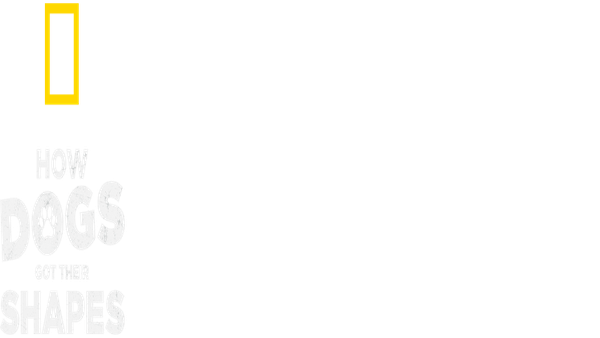 How Dogs Got Their Shapes Poster 3