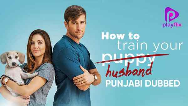 How To Train Your Husband Poster 1