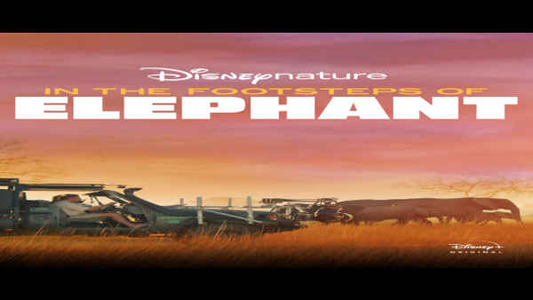 In the Footsteps of Elephant Poster 3