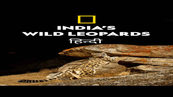 India's Wild Leopards Poster 5