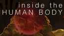 Inside the Human Body Poster 1