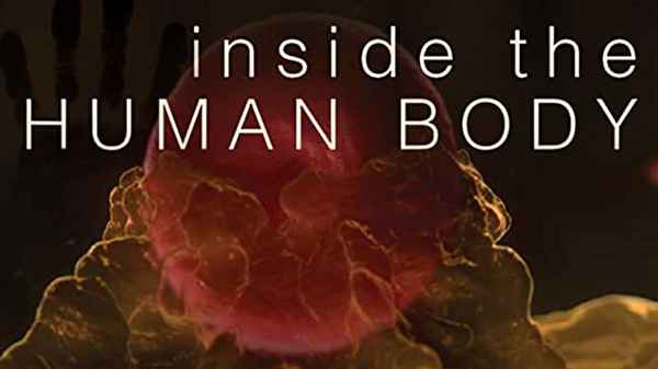 Inside the Human Body Poster 1