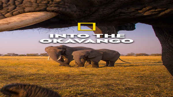 Into The Okavango Poster 1