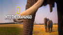 Into The Okavango Poster 2