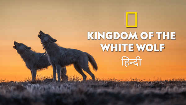 Kingdom Of The White Wolf Poster 7
