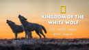 Kingdom Of The White Wolf Poster 6