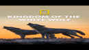 Kingdom Of The White Wolf Poster 4