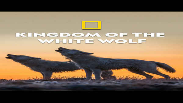 Kingdom Of The White Wolf Poster 4
