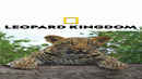 Leopard Kingdom Poster 5