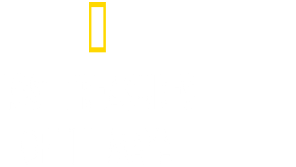 Lost Treasures of the Maya Poster 5
