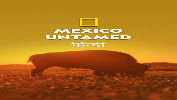 Mexico Untamed Poster 6