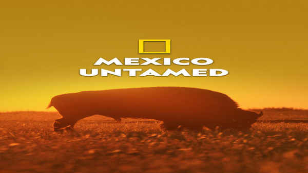 Mexico Untamed Poster 7