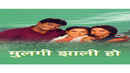 Mulgi Zali Ho Poster 4