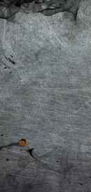 MX TakaTak Fame House Poster 7