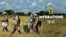 Mygrations Poster 4