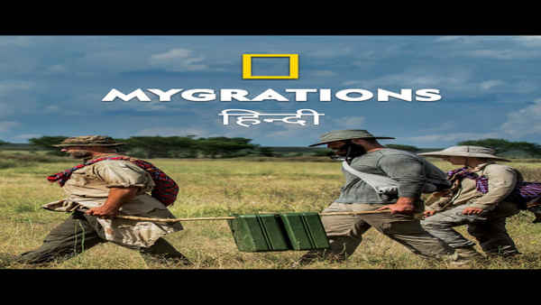 Mygrations Poster 5