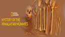 Mystery of the Himalayan Mummies Poster 2