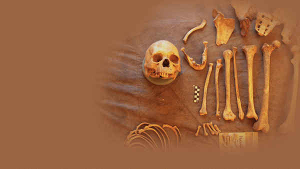 Mystery of the Himalayan Mummies Poster 3