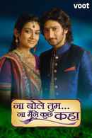 Na Bole Tum Poster 6