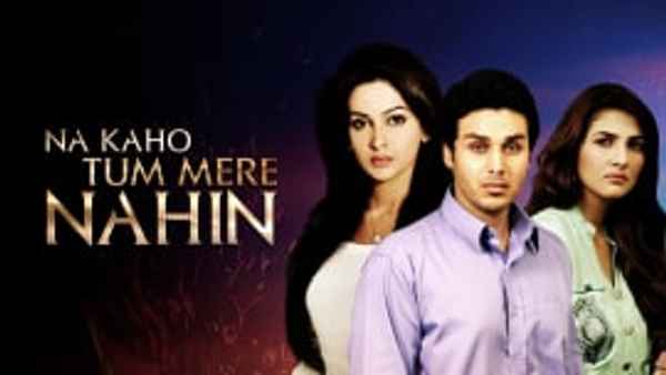 Na Kaho Tum Mere Nahi Poster 3