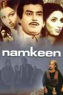 Namkeen Poster 4